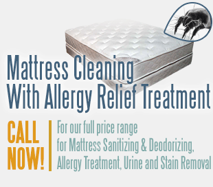 Mattress Cleaning