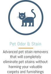 Pet Stain & Odor Removal