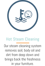 Steam Cleaning Service