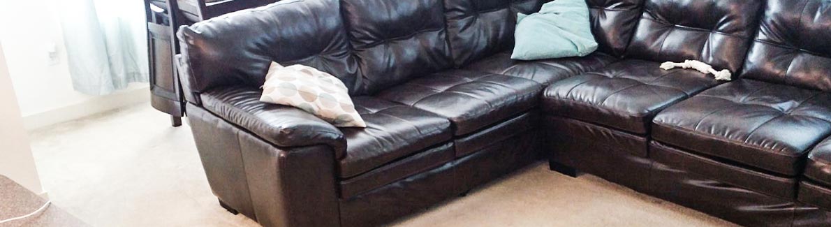 Leather Upholstery Cleaning Service